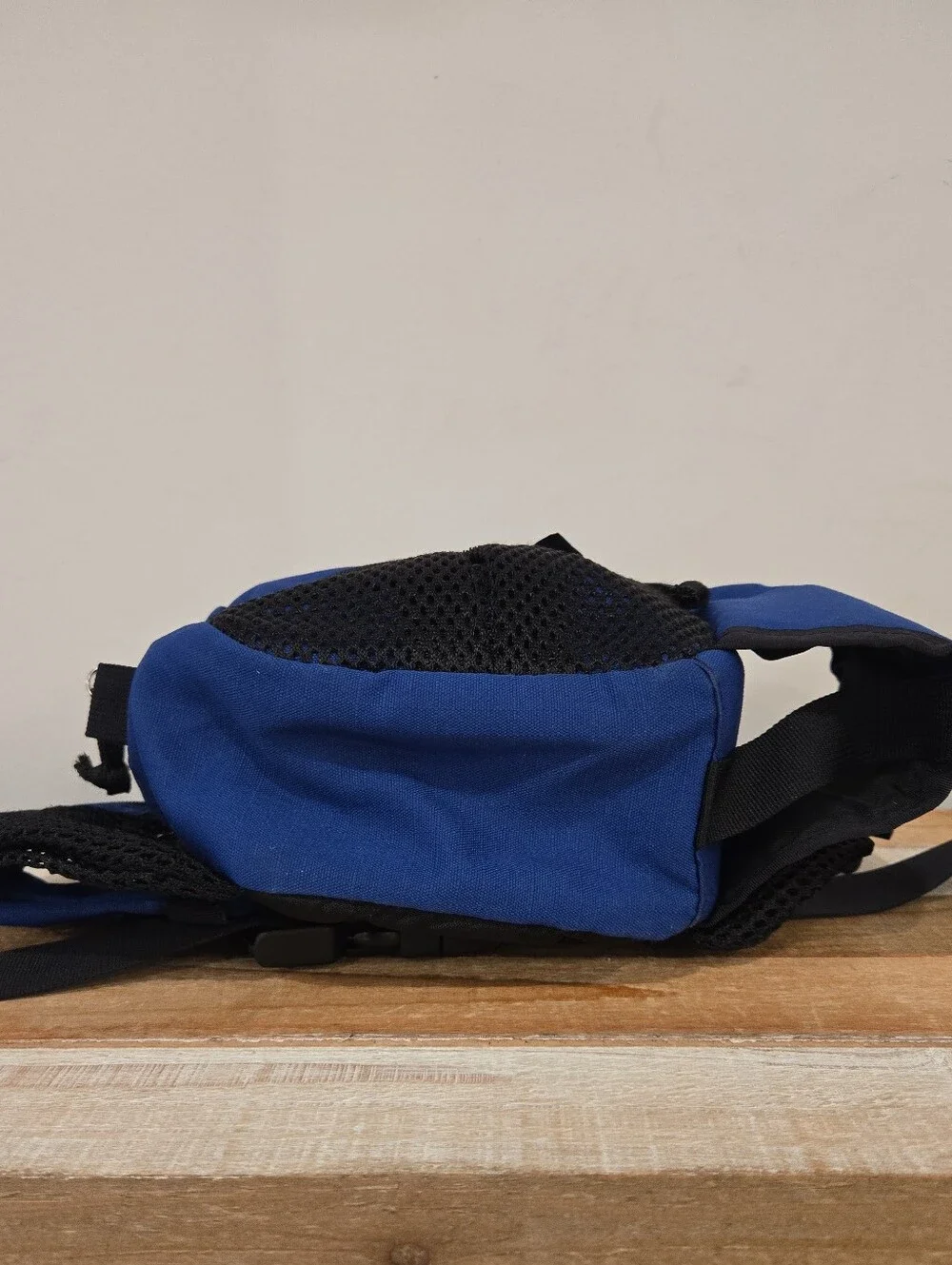L.L. Bean bean fanny